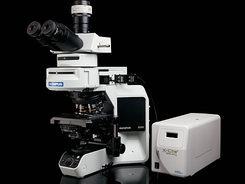 Evident BX43 BX53 флуоресцентный